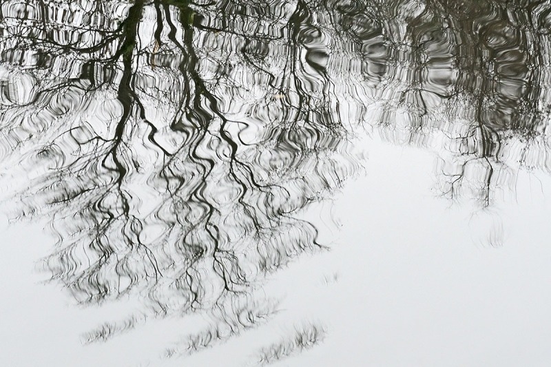 reflections_13Dec24