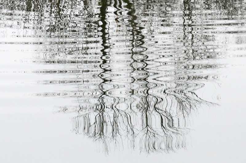 reflections_14Dec24