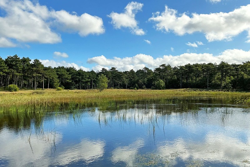 vlieland_15Okt24