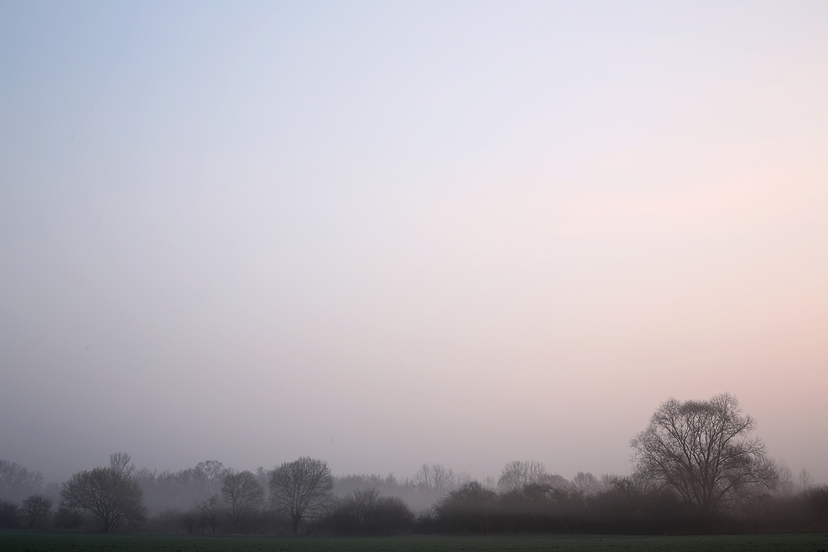 Daybreak in the Petite Camargue (2)