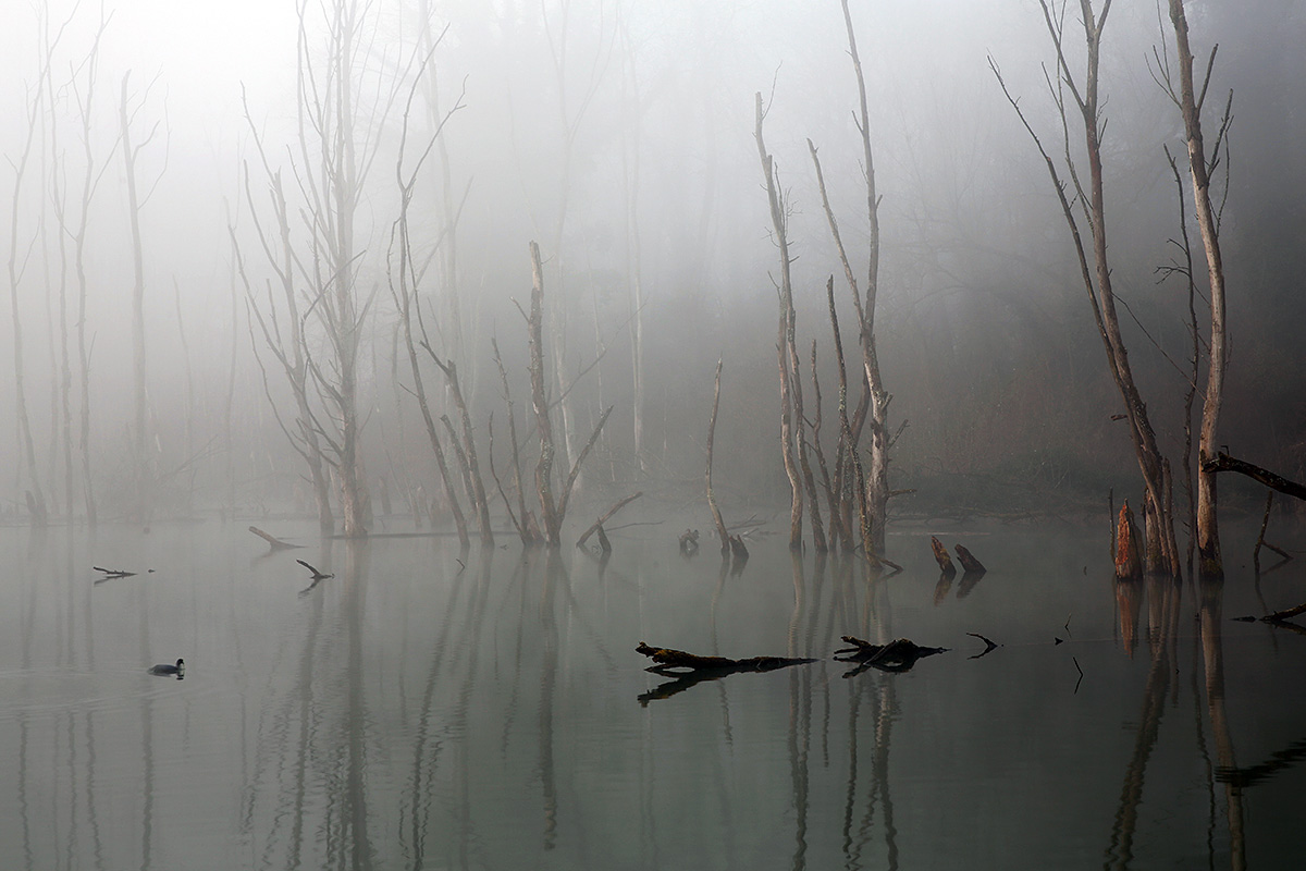 Daybreak in the Petite Camargue Alsacienne (3)