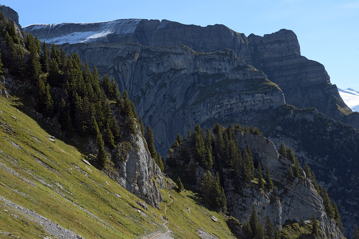 From Schynige Platte to Grindelwald First (Bernese Alps) (2)