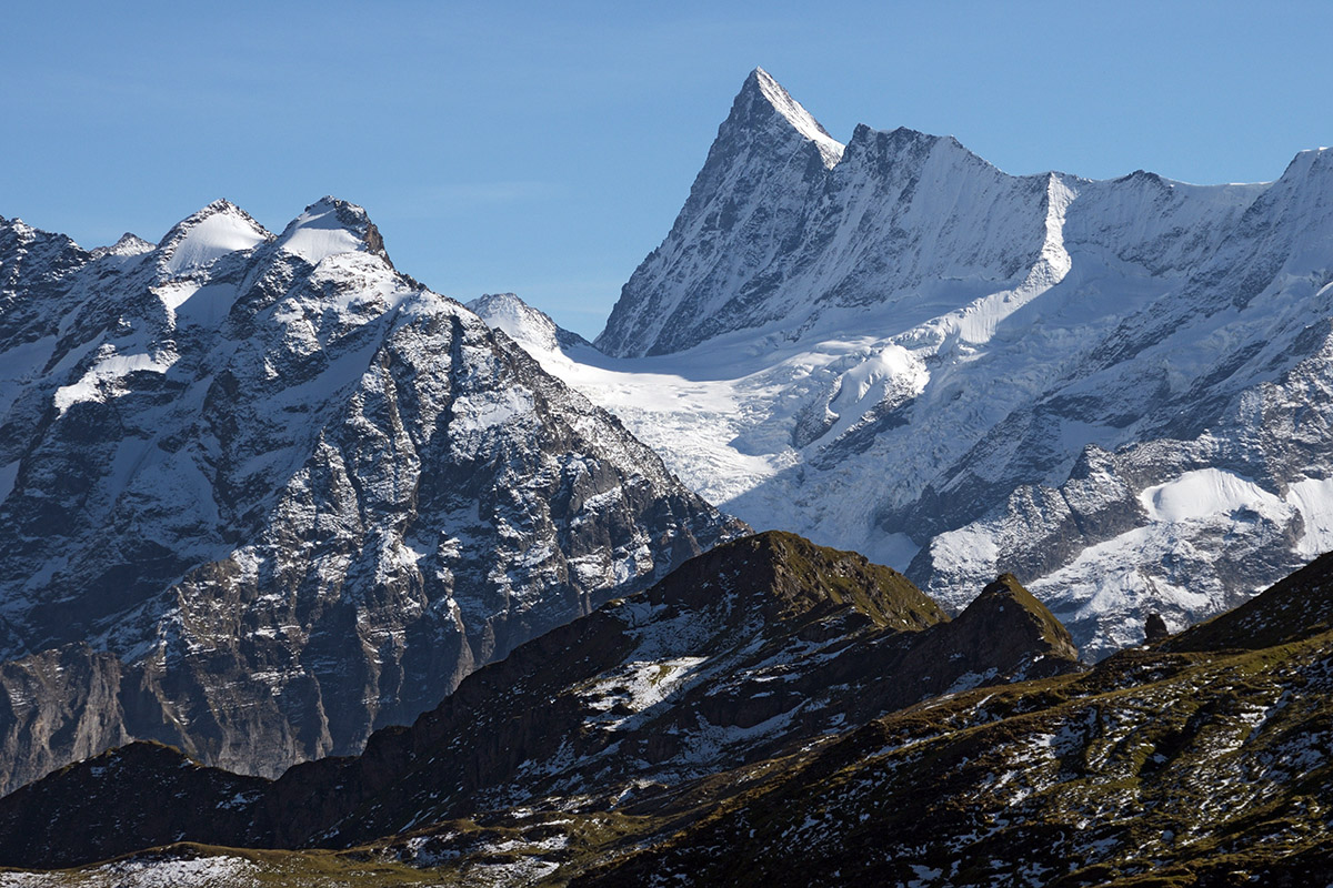 From Schynige Platte to Grindelwald First (Bernese Alps) (5)