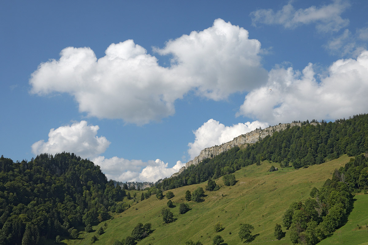 Bettlachstock Area (Swiss Jura, Canton of Solothurn) (1)