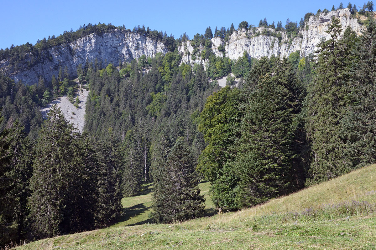 Bettlachstock Area (Swiss Jura, Canton of Solothurn) (3)