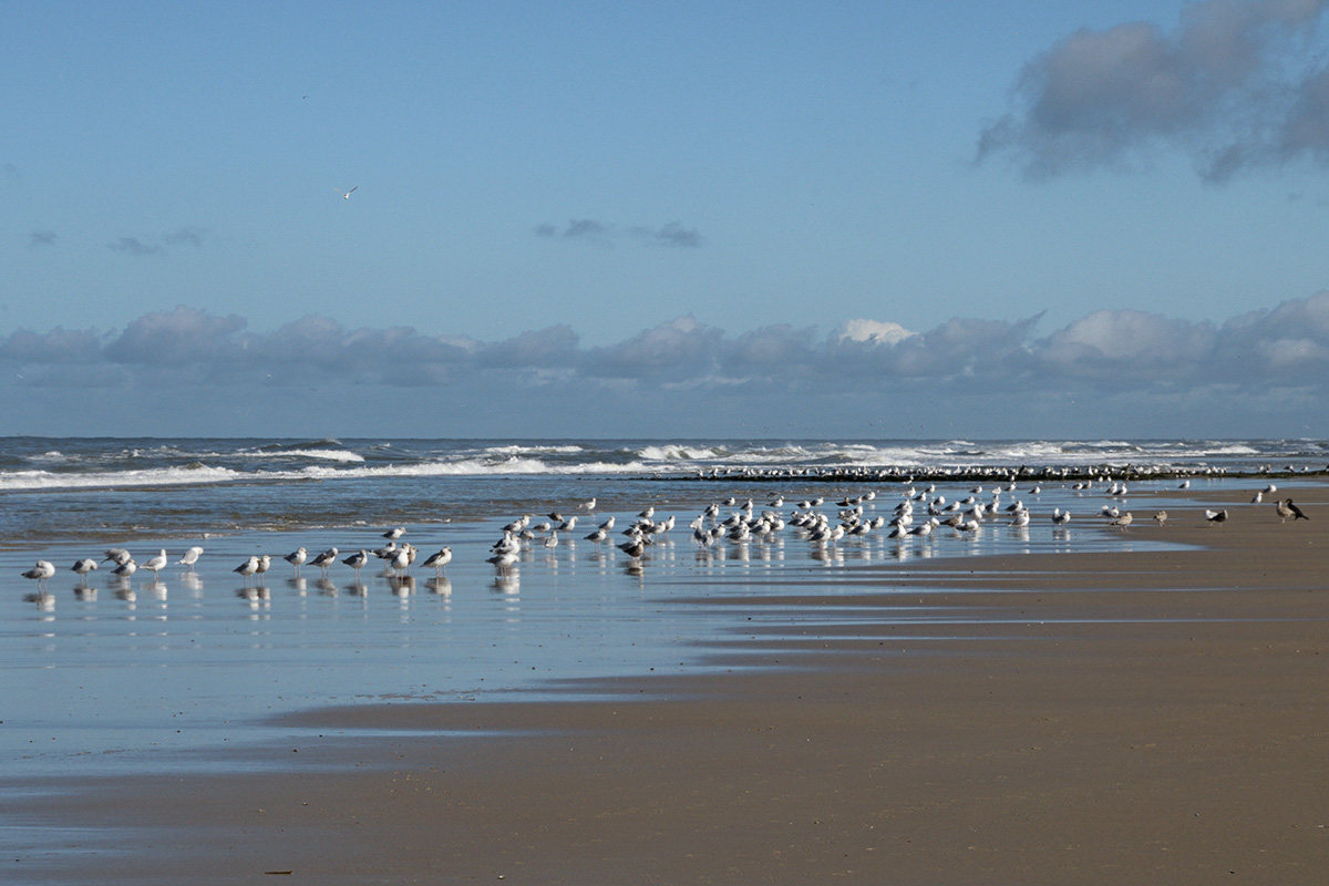 Vlieland – A Dutch Car-Free Island in the North Sea (8)