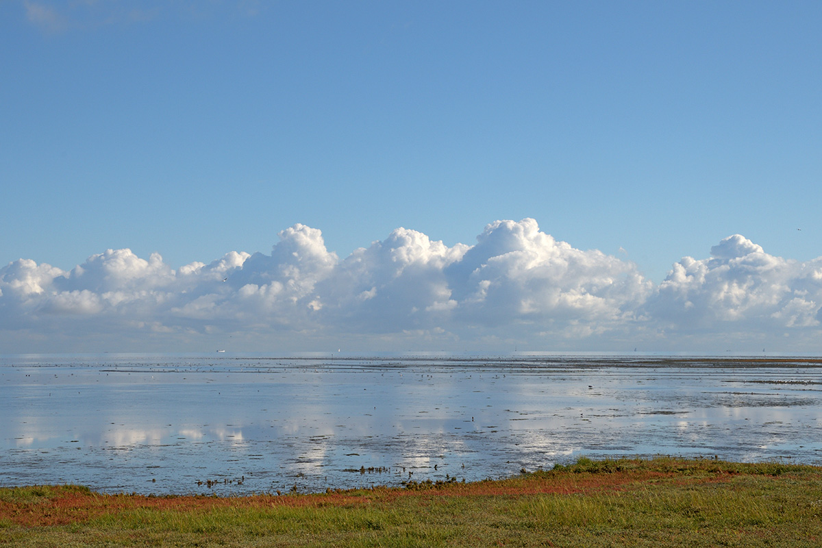 Vlieland – A Dutch Car-Free Island in the North Sea (12)