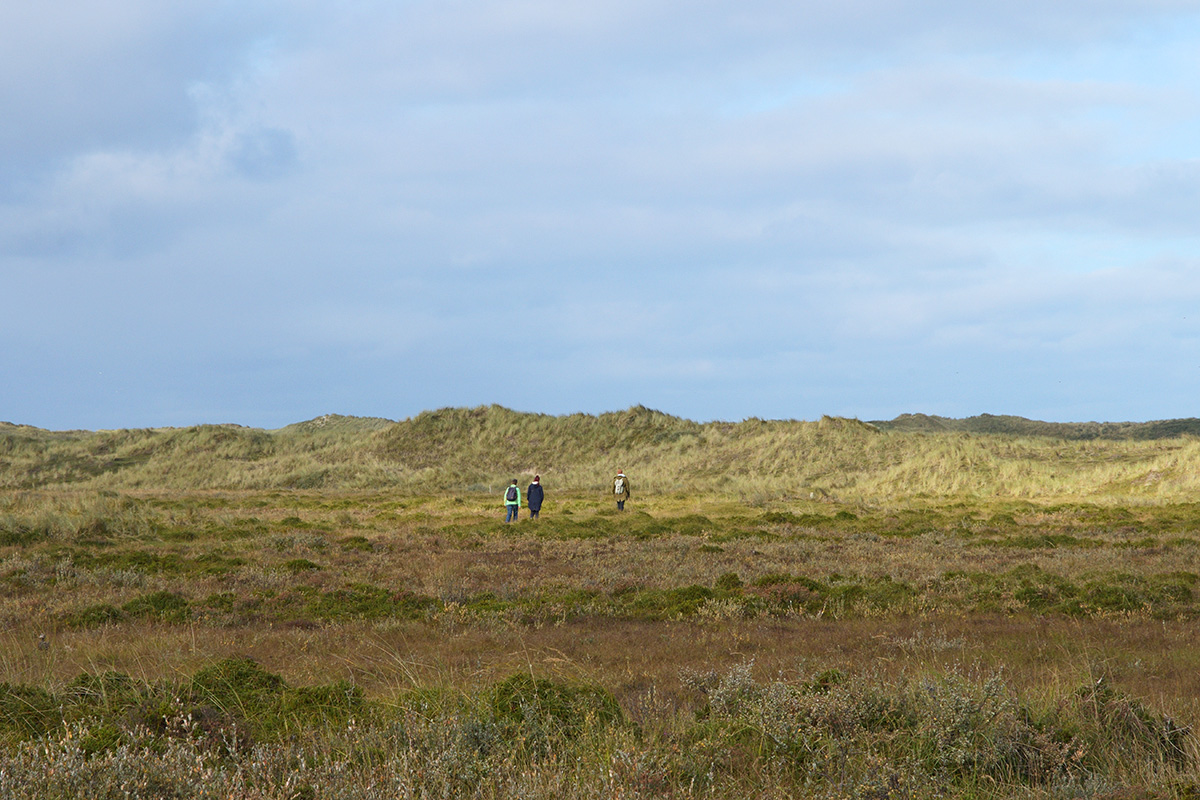 Vlieland – A Dutch Car-Free Island in the North Sea (13)