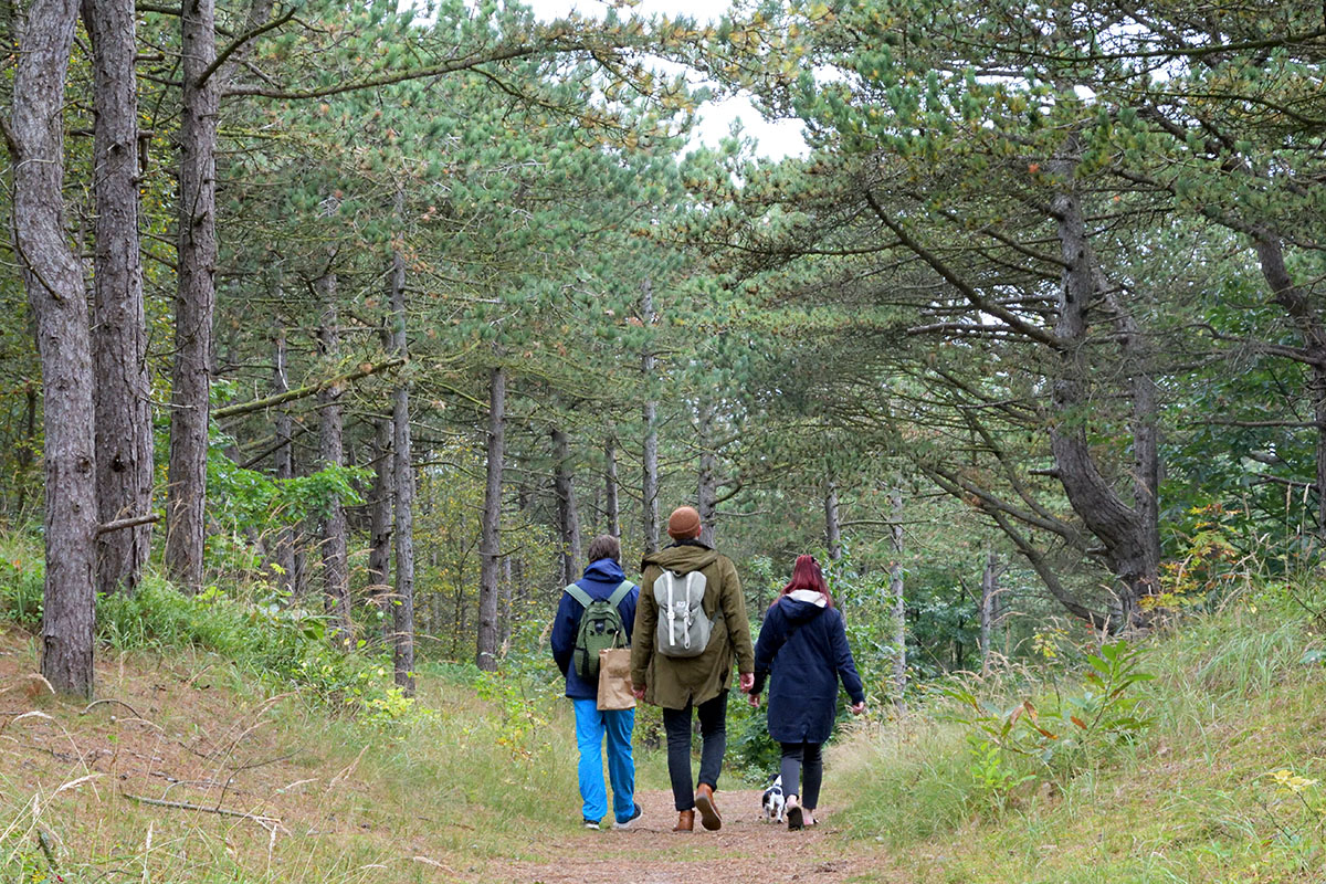 Vlieland – A Dutch Car-Free Island in the North Sea (17)