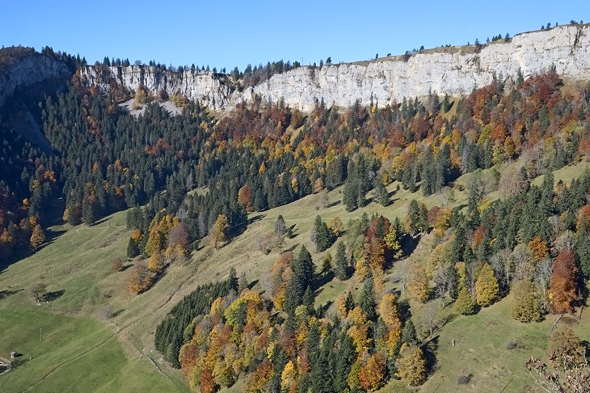 Bettlachstock – One of the Last Primeval Beech Forests in Europe (4)