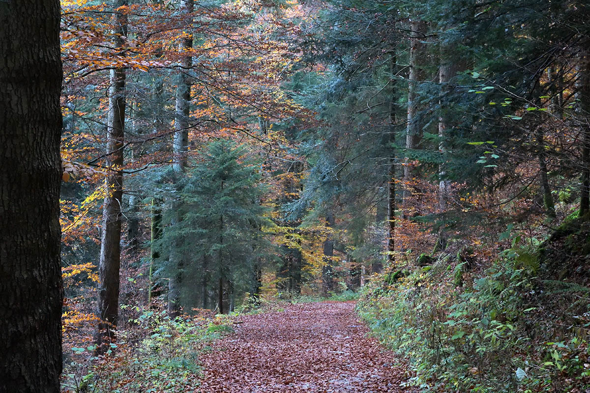 Creux du Van – A Nature Lover’s Paradise (Canton of Neuchâtel) (1)