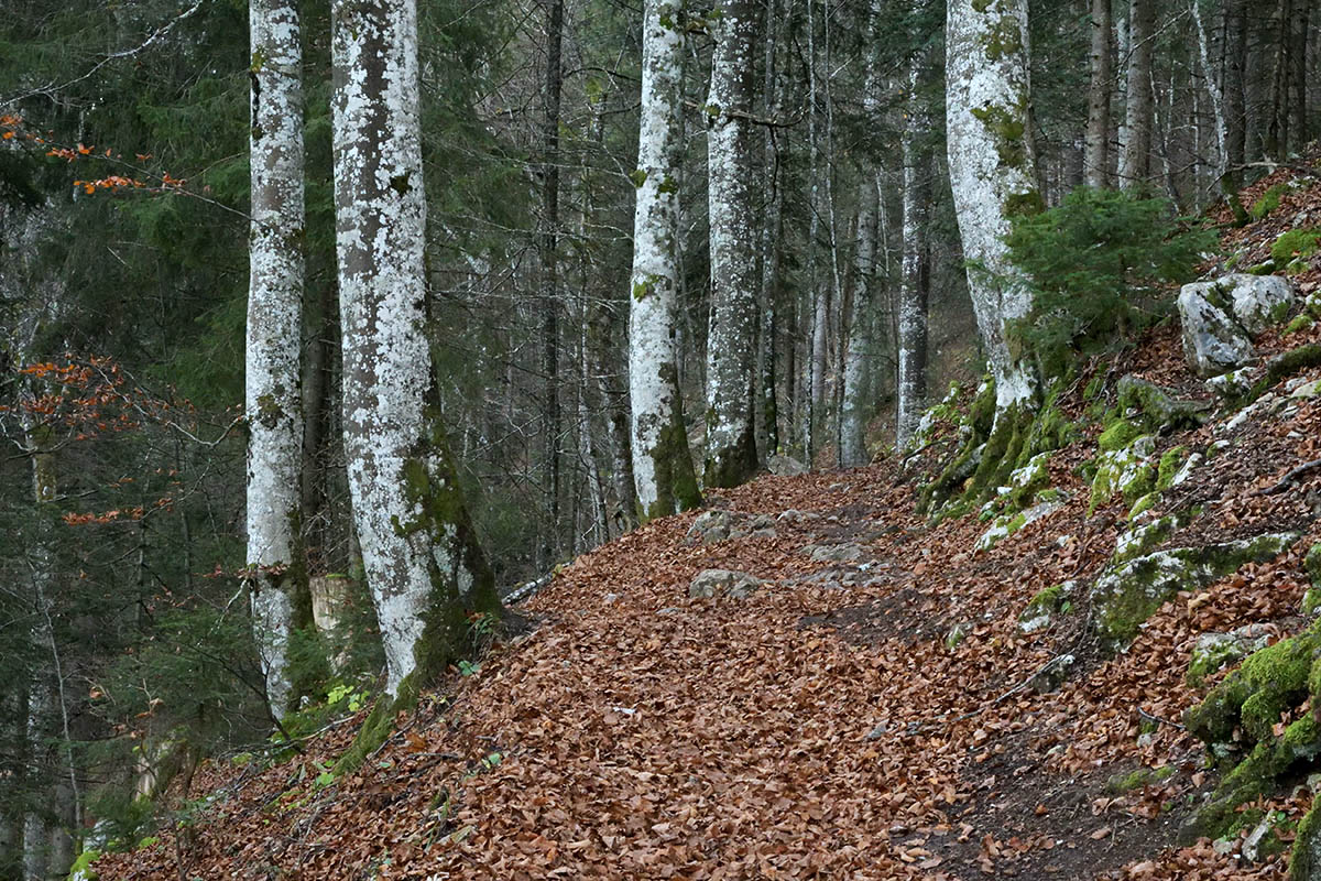 Creux du Van – A Nature Lover’s Paradise (Canton of Neuchâtel) (2)