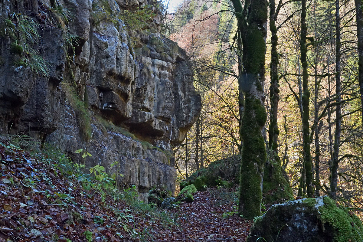 Doubs Nature Park (2)