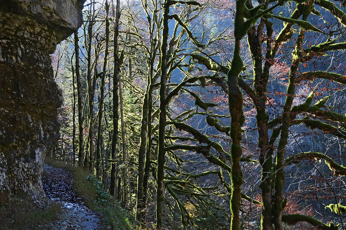 Doubs Nature Park (5)