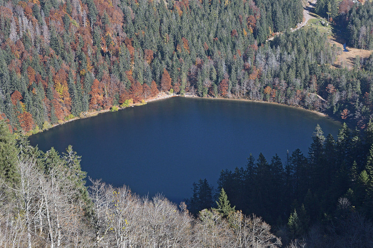 Fall Mood at Lake Feldsee (Black Forest, Southern Germany) (1)