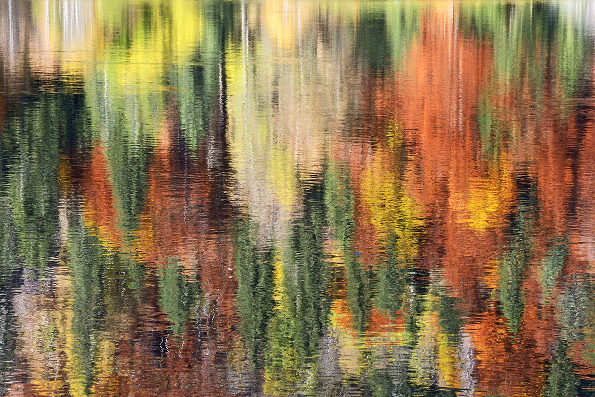 Fall Mood at Lake Feldsee (Black Forest, Southern Germany) (8)