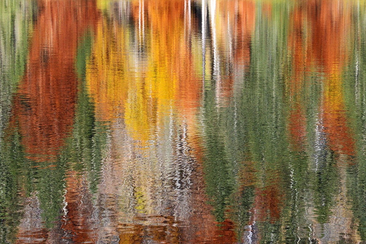 Fall Mood at Lake Feldsee (Black Forest, Southern Germany) (9)