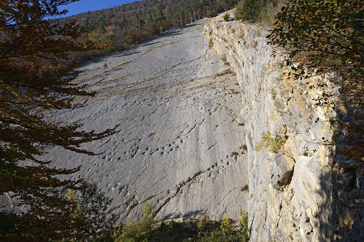 Dinosaur Tracks in the Quarry of Lommiswil (Cantone of Solothurn) (1)