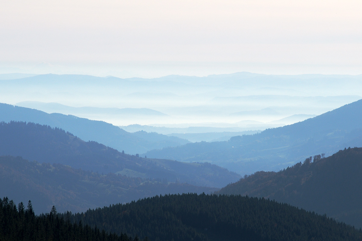 Valley of the River Wiese (Black Forest, Southern Germany) (1)