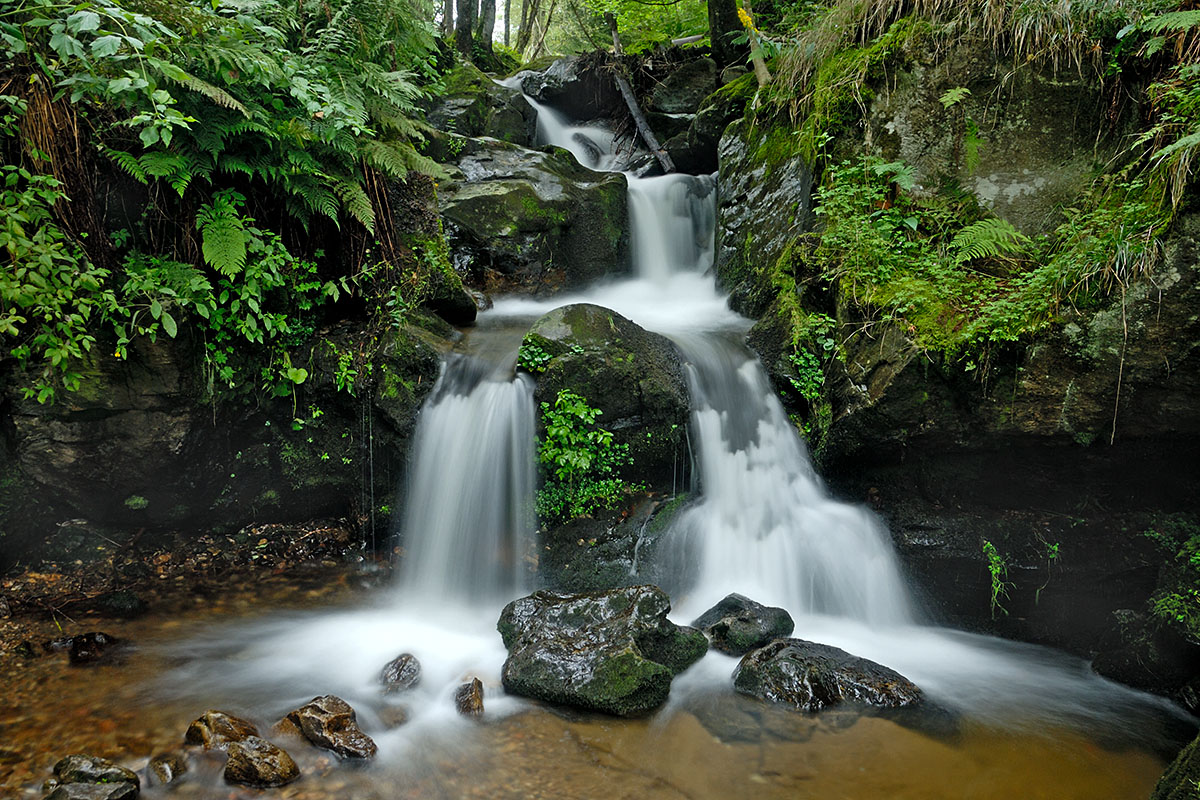 Flowing Water in the Black Forest (2)