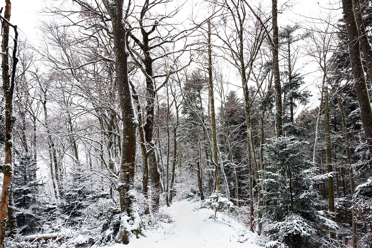 Snow Hike in the Swiss Jura Mountains (2)