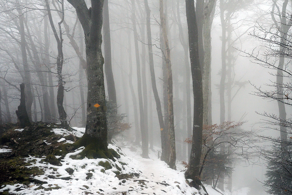 Snow Hike in the Swiss Jura Mountains (8)