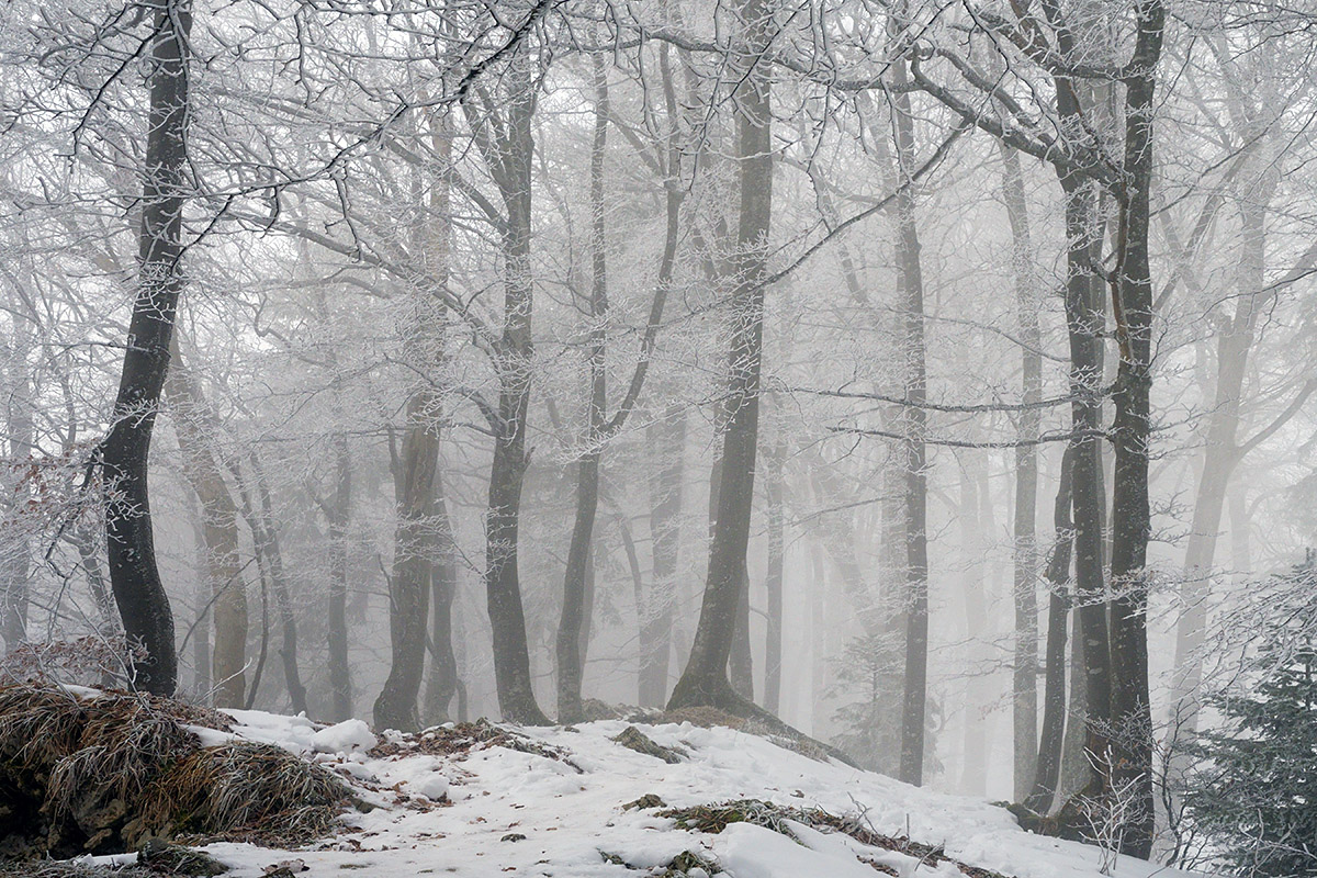 Snow Hike in the Swiss Jura Mountains (9)