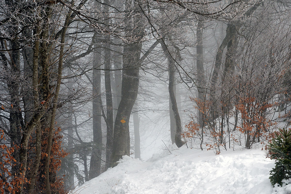 Snow Hike in the Swiss Jura Mountains (10)