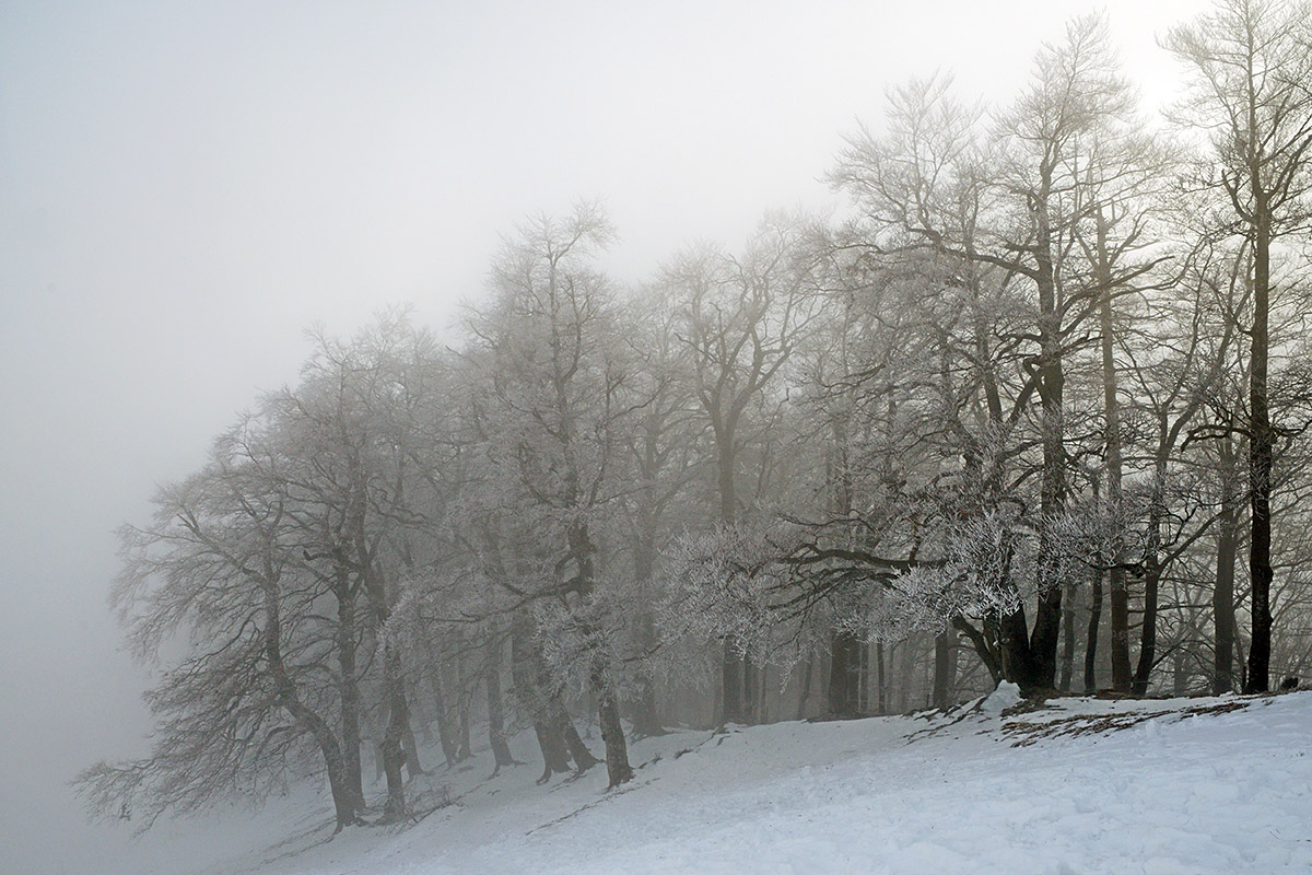 Snow Hike in the Swiss Jura Mountains (11)