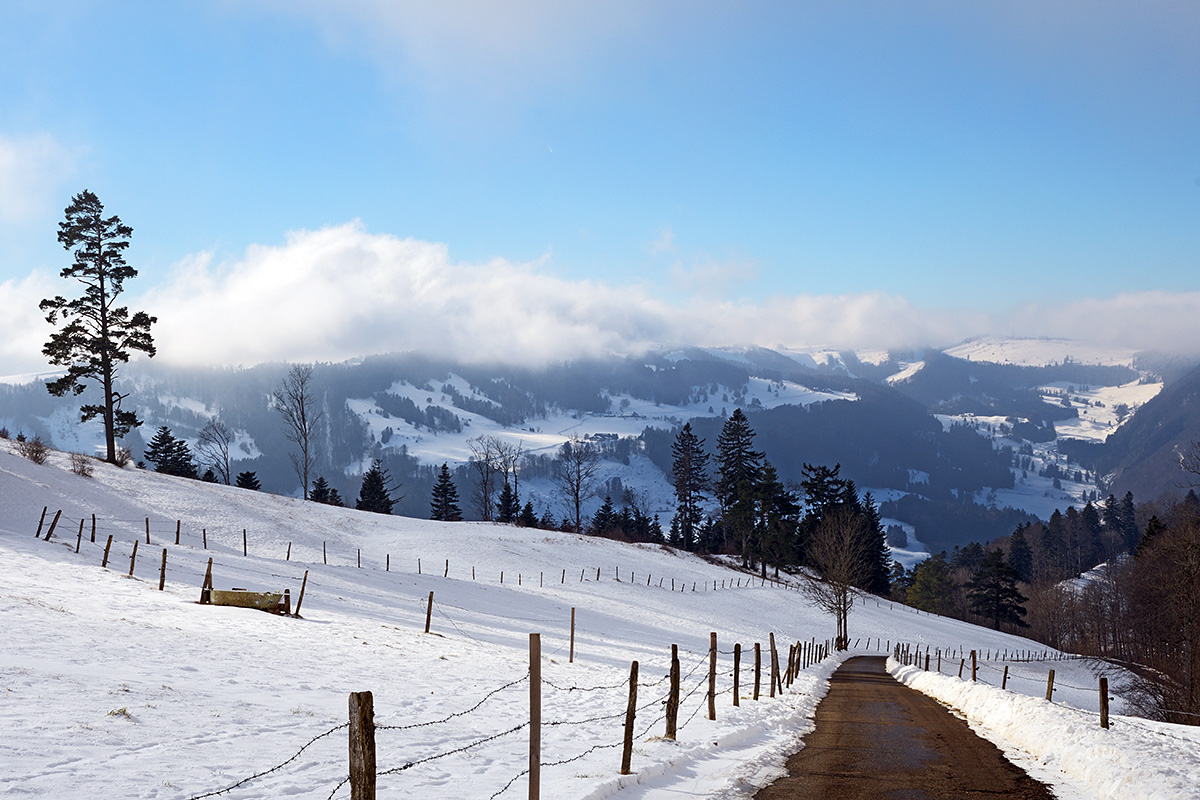 Snow Hike in the Swiss Jura Mountains (14)