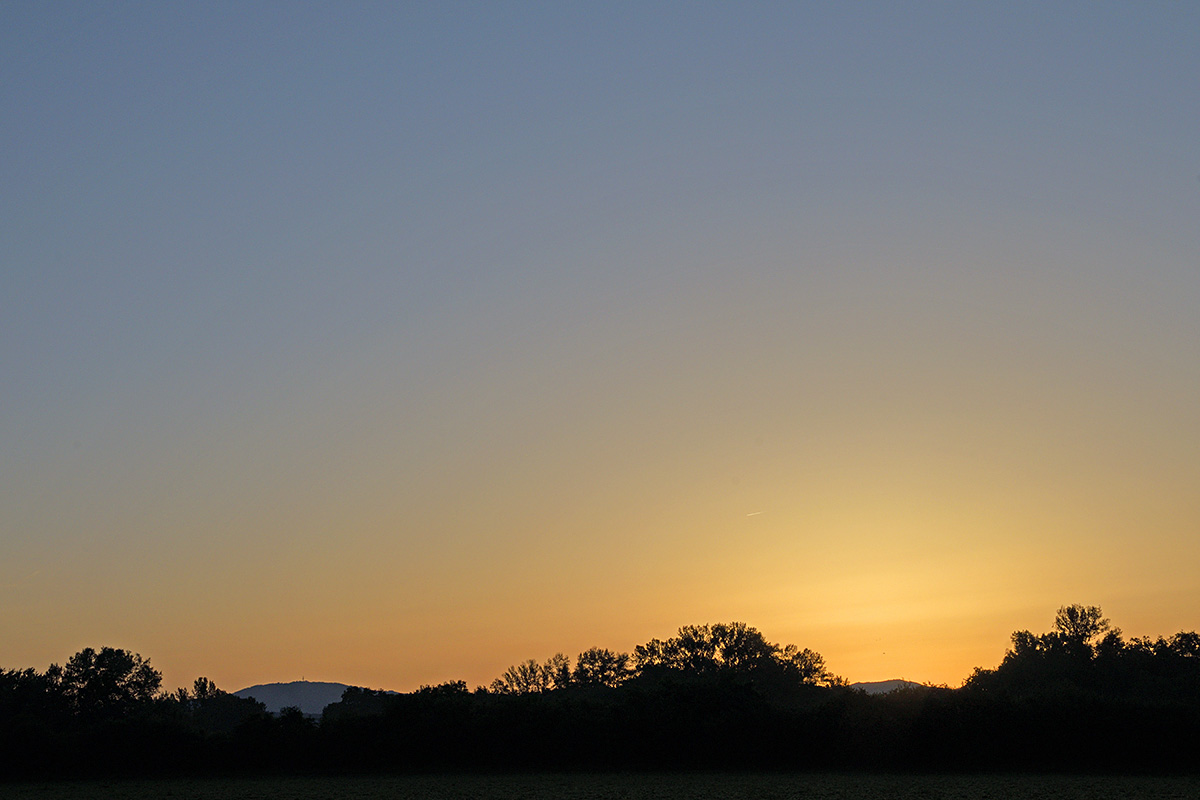 Daybreak in the Petite Camargue (4)