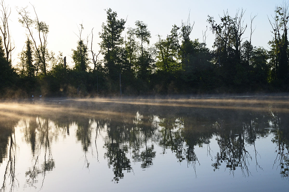 Daybreak in the Petite Camargue (5)