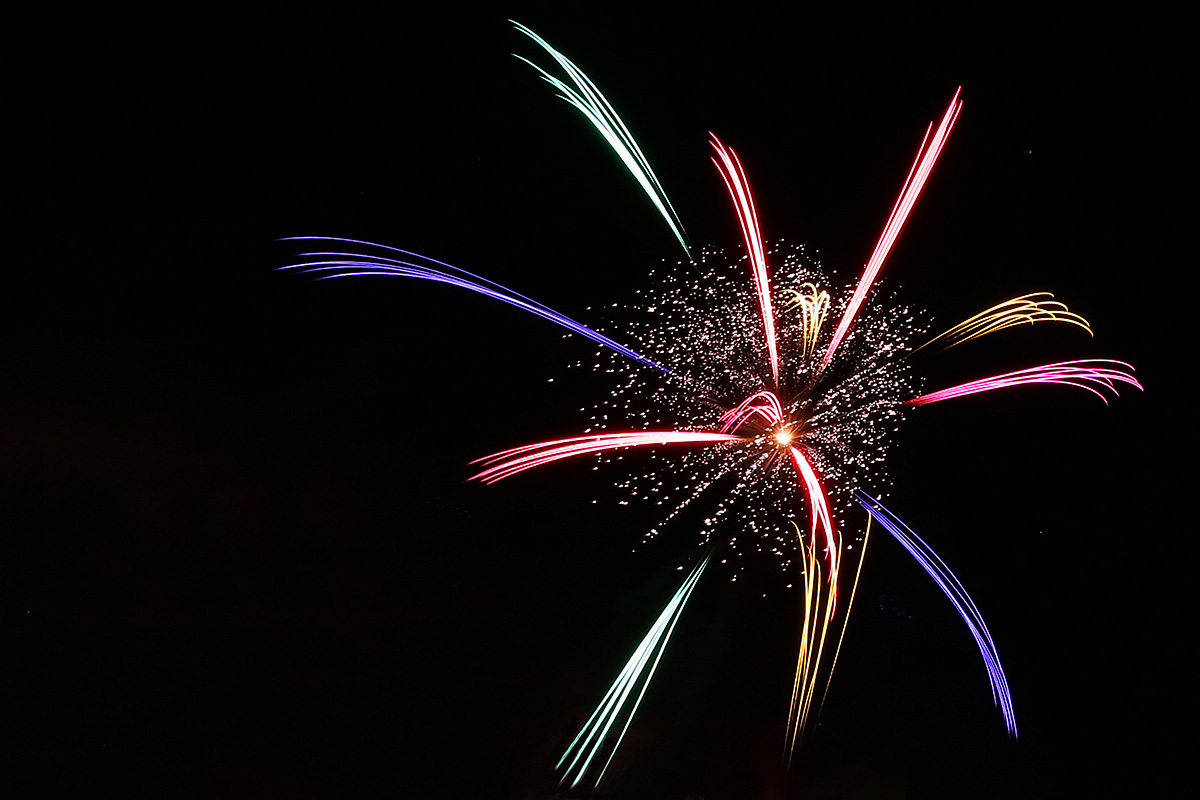 Swiss National Day Celebrations on the Rhine (6)