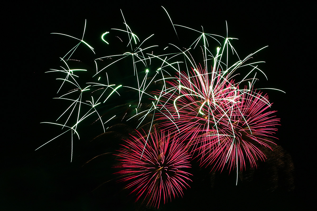 Swiss National Day Celebrations on the Rhine (7)