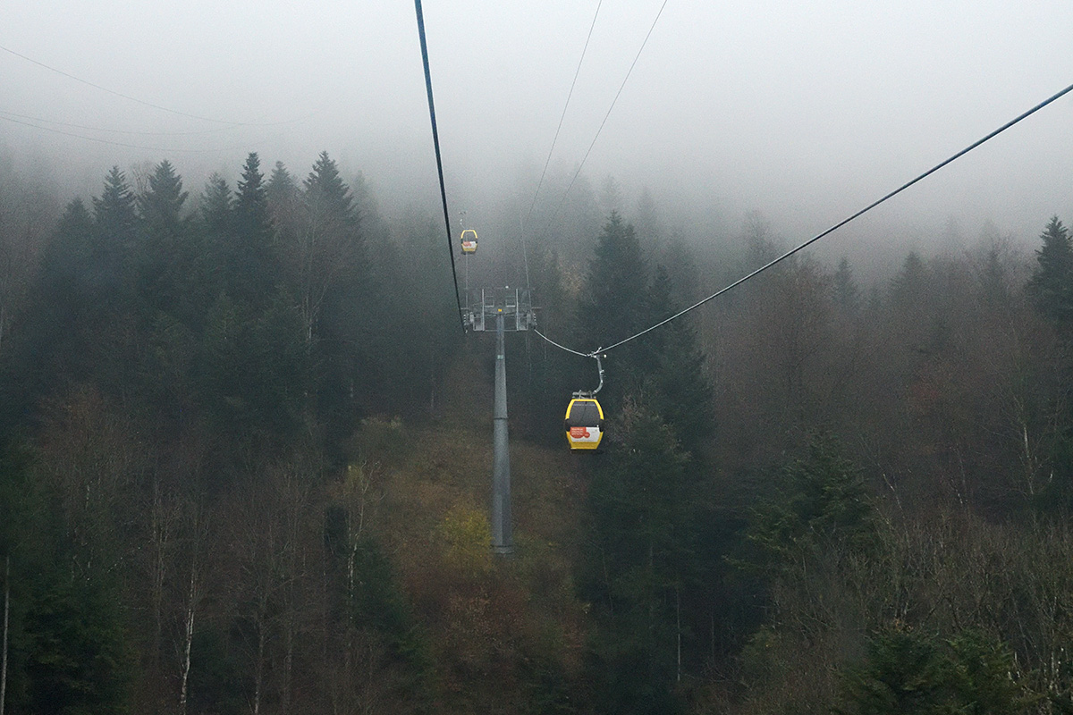 At the Fog Line in the Swiss Jura (1)