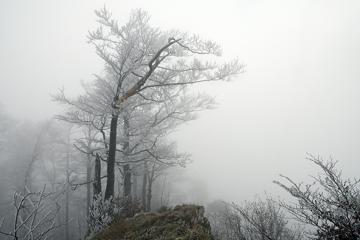 At the Fog Line in the Swiss Jura (3)