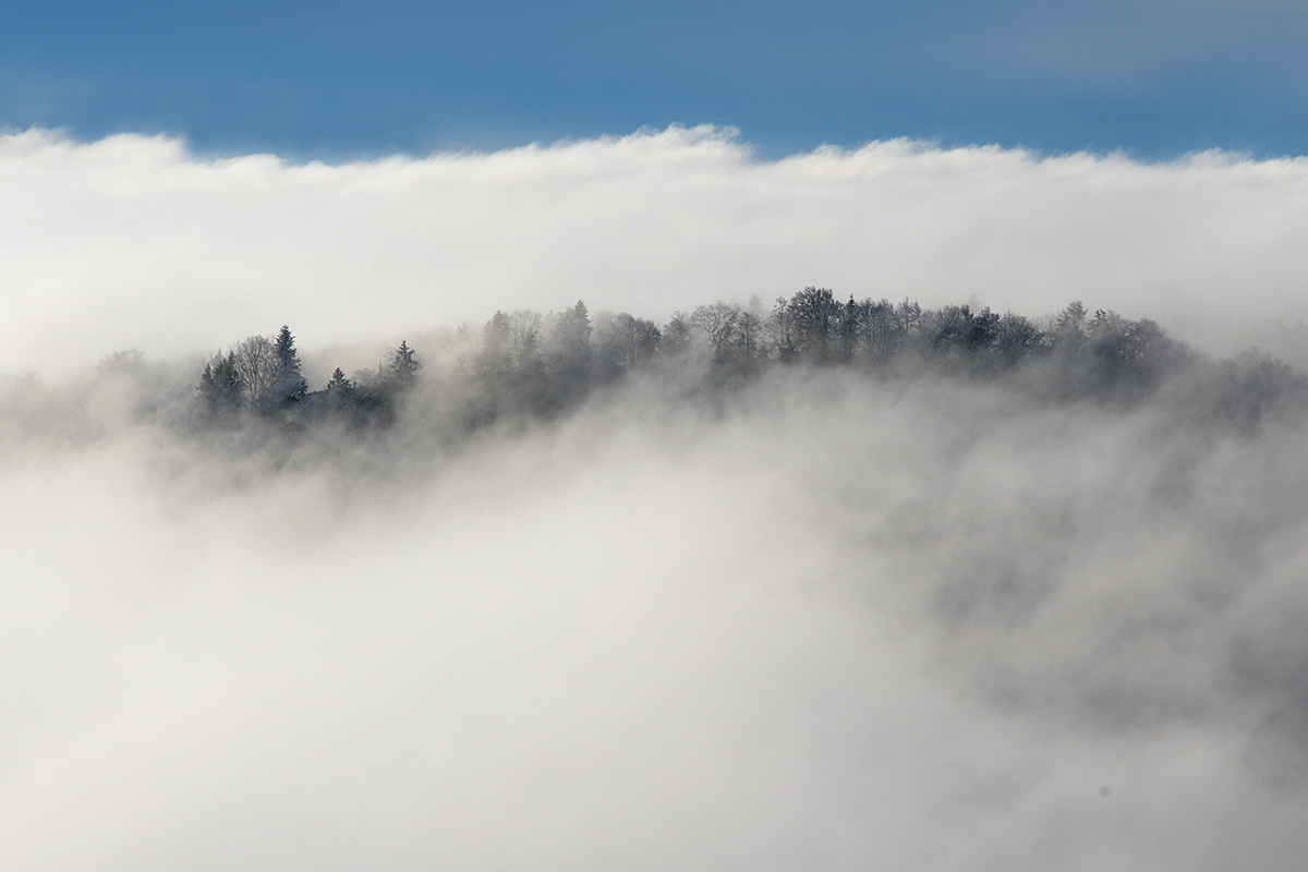 At the Fog Line in the Swiss Jura (4)