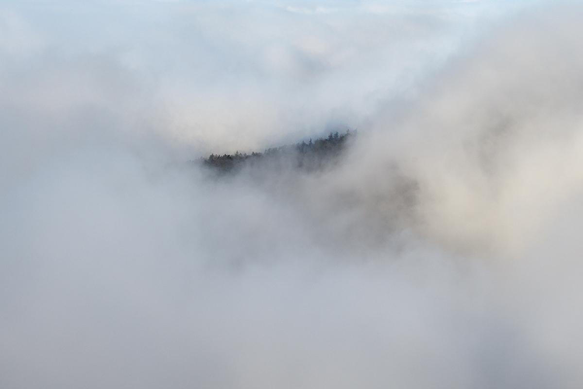 At the Fog Line in the Swiss Jura (6)