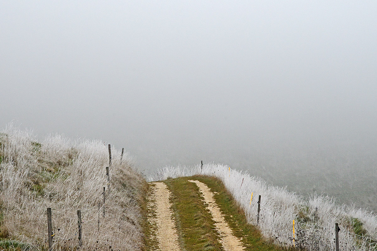 At the Fog Line in the Swiss Jura (7)