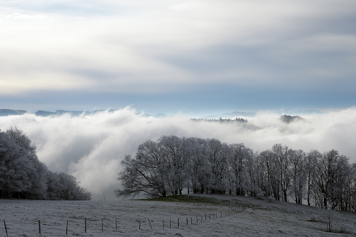 At the Fog Line in the Swiss Jura (9)