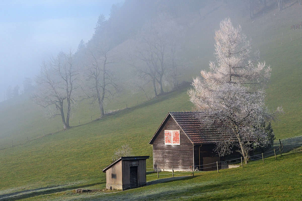 At the Fog Line in the Swiss Jura (10)