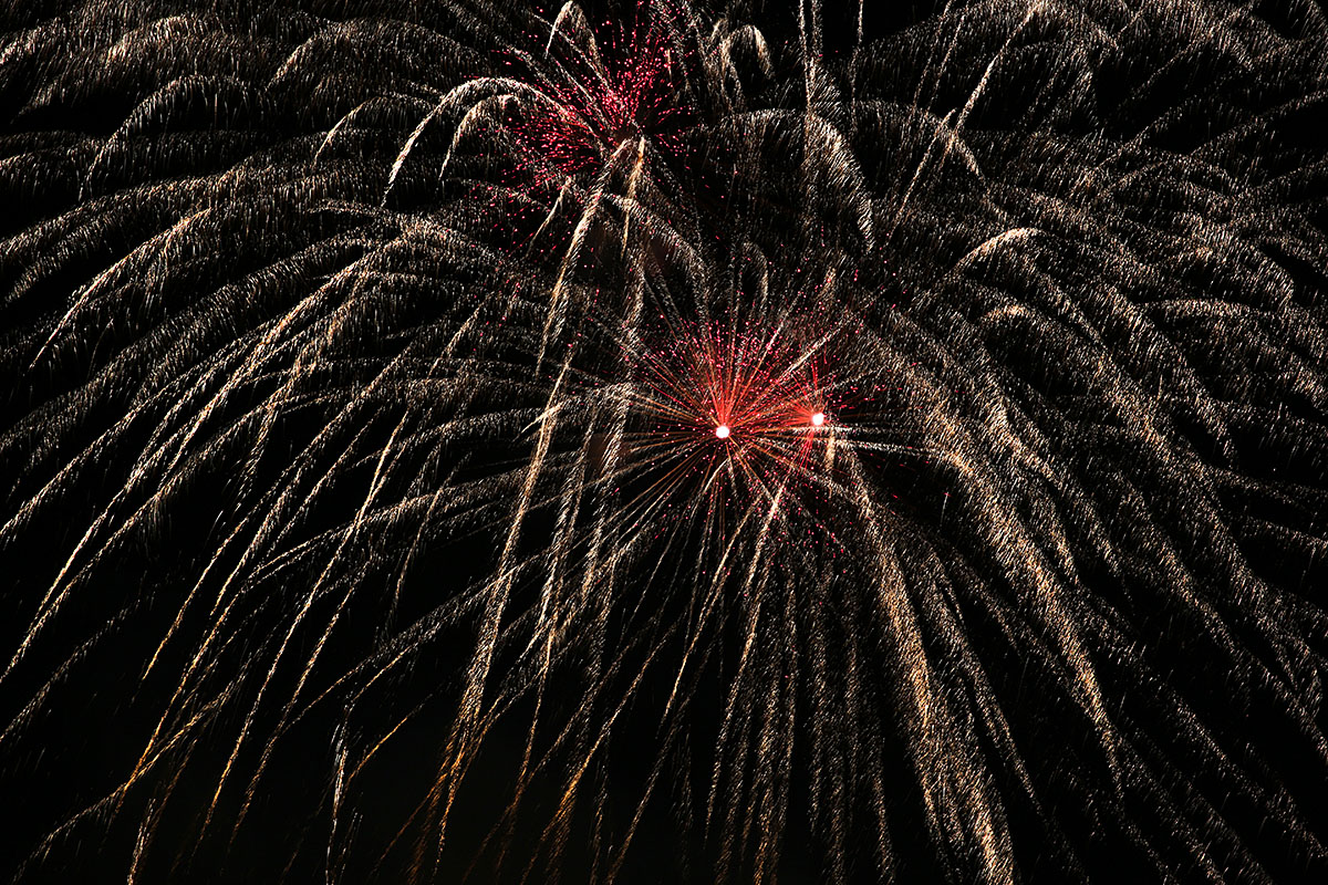 Swiss National Day Celebrations at the Sarasinpark in Riehen (1)