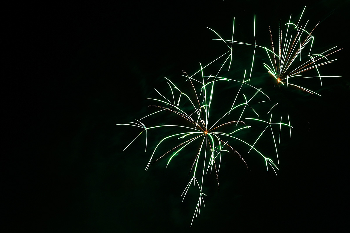 Swiss National Day Celebrations at the Sarasinpark in Riehen (2)