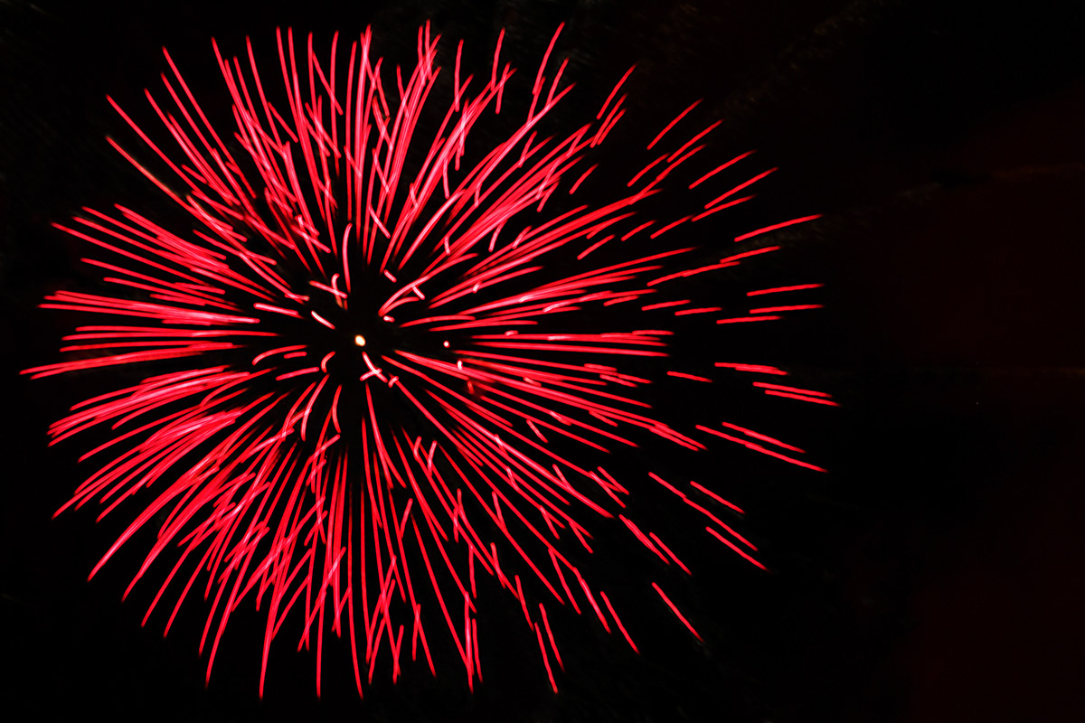 Swiss National Day Celebrations in the Sarasinpark in Riehen (3)