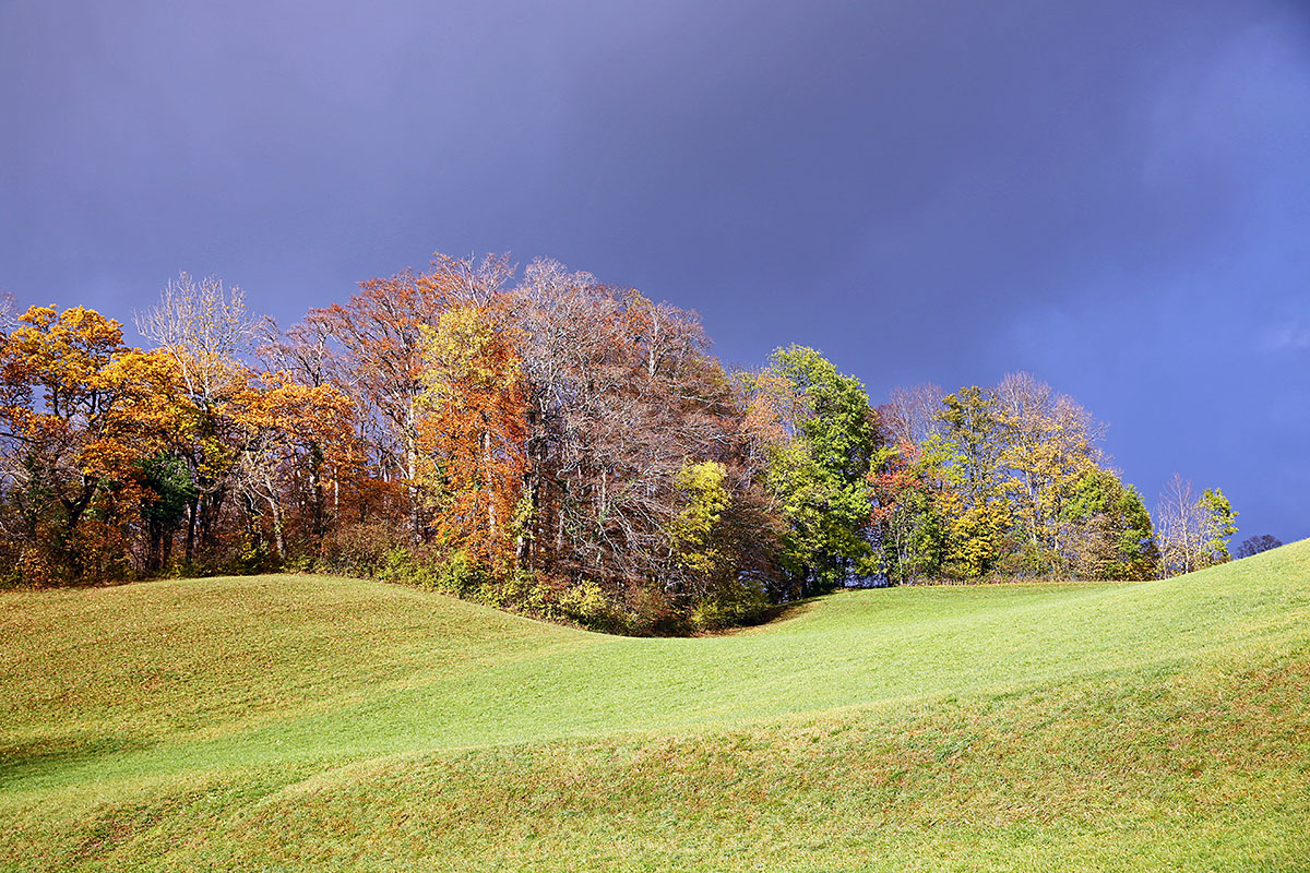 Autumn Hike in the Swiss Jura (1)