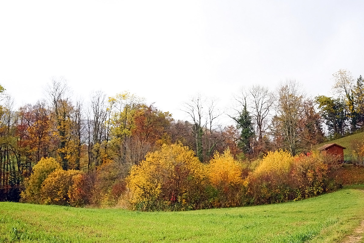 Autumn Hike in the Swiss Jura (2)