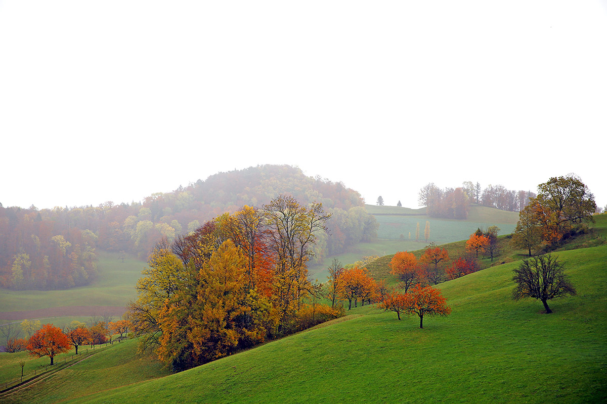 Autumn Hike in the Swiss Jura (3)