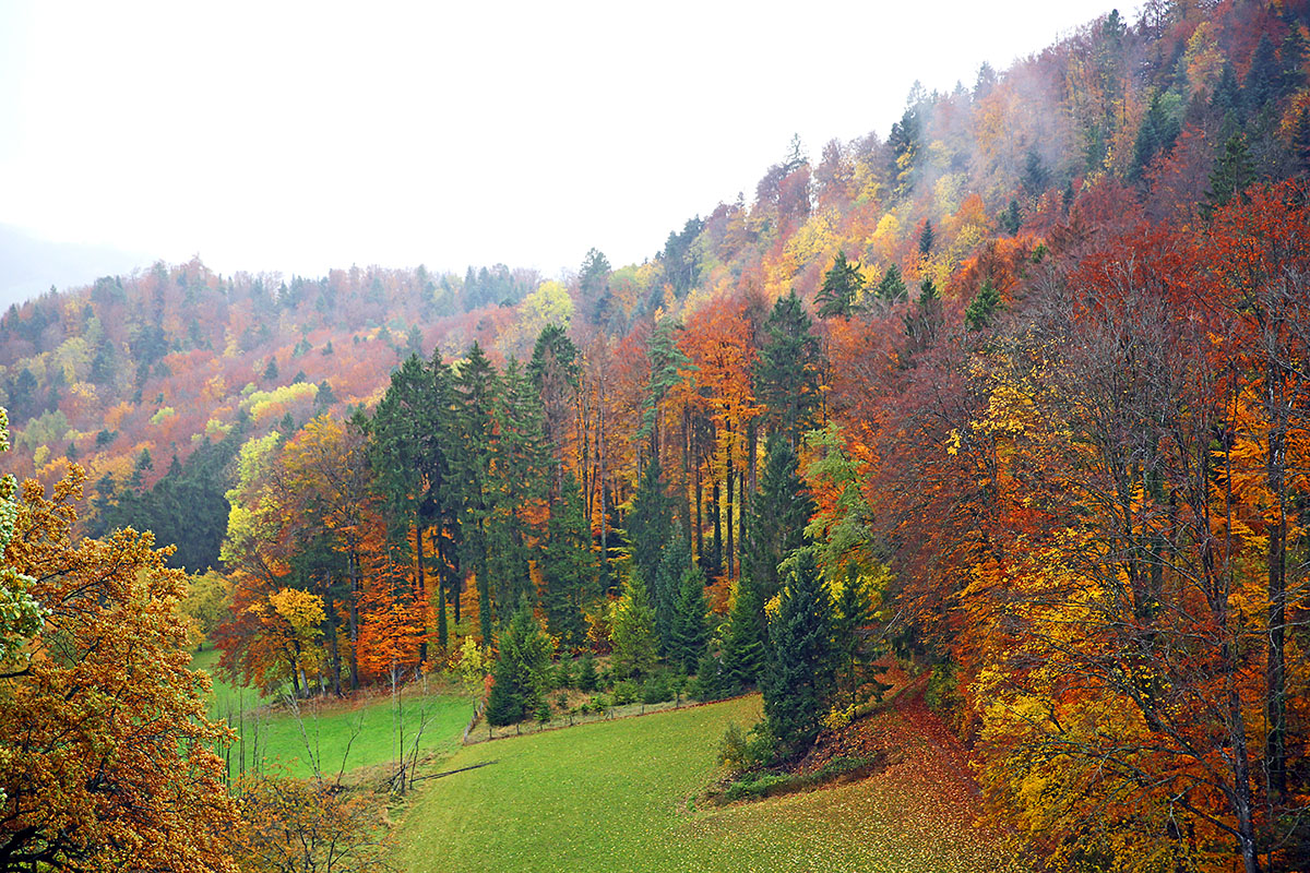 Autumn Hike in the Swiss Jura (4)