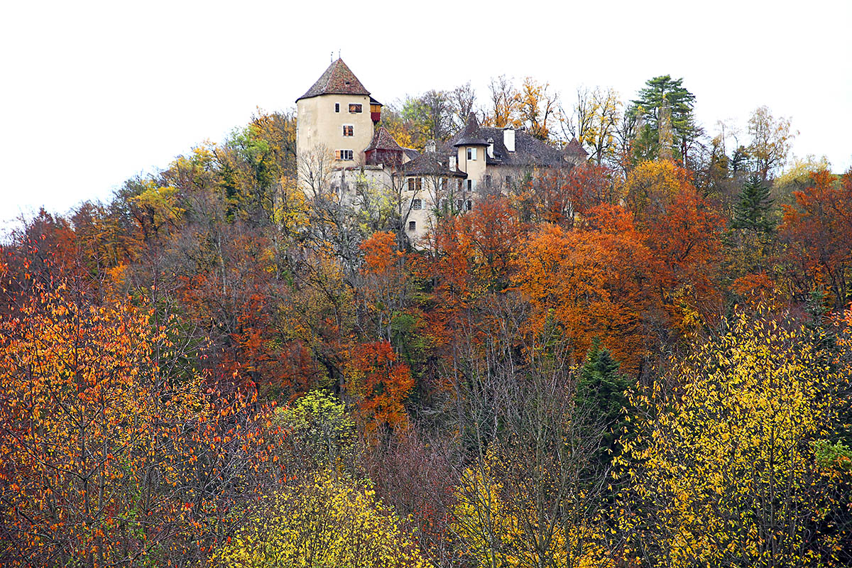 Autumn Hike in the Swiss Jura (5)