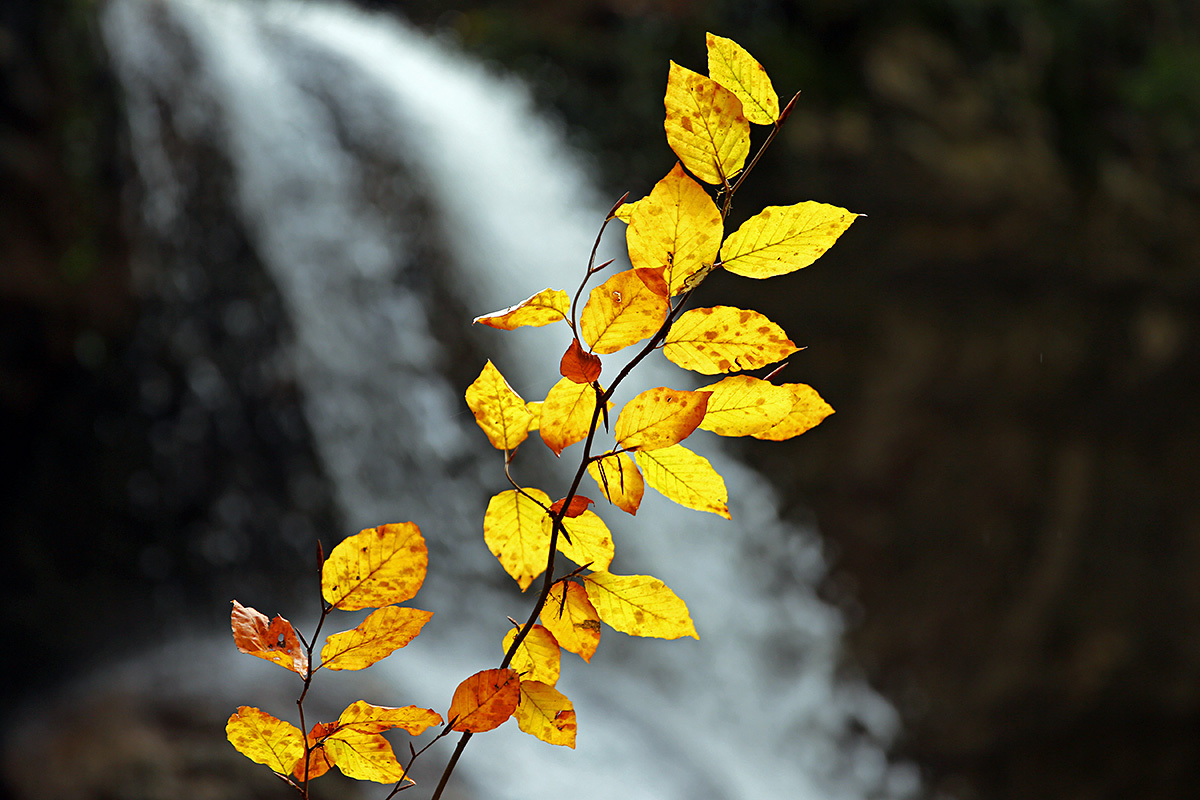 Autumn Hike in the Swiss Jura (6)